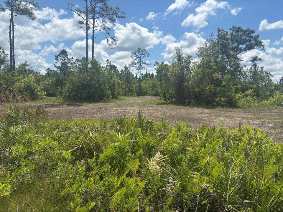 0 Holopaw Groves Road, Floride 34772, États-Unis