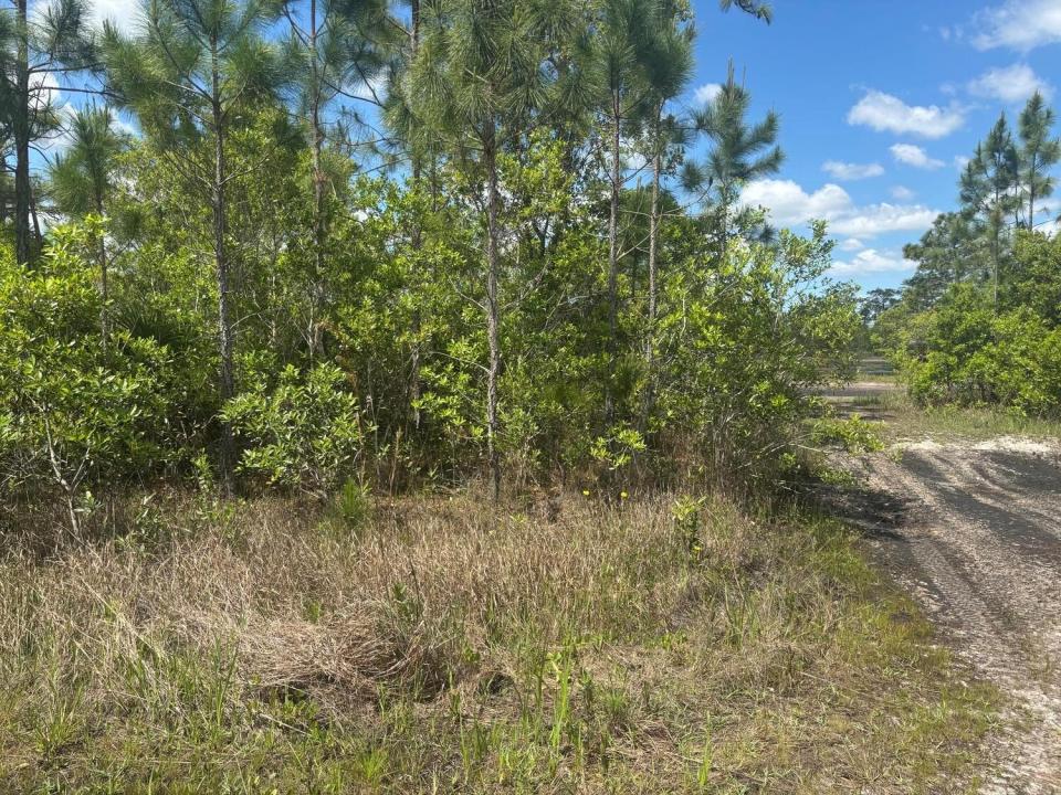 0 Holopaw Groves Road, Florida 34772, USA