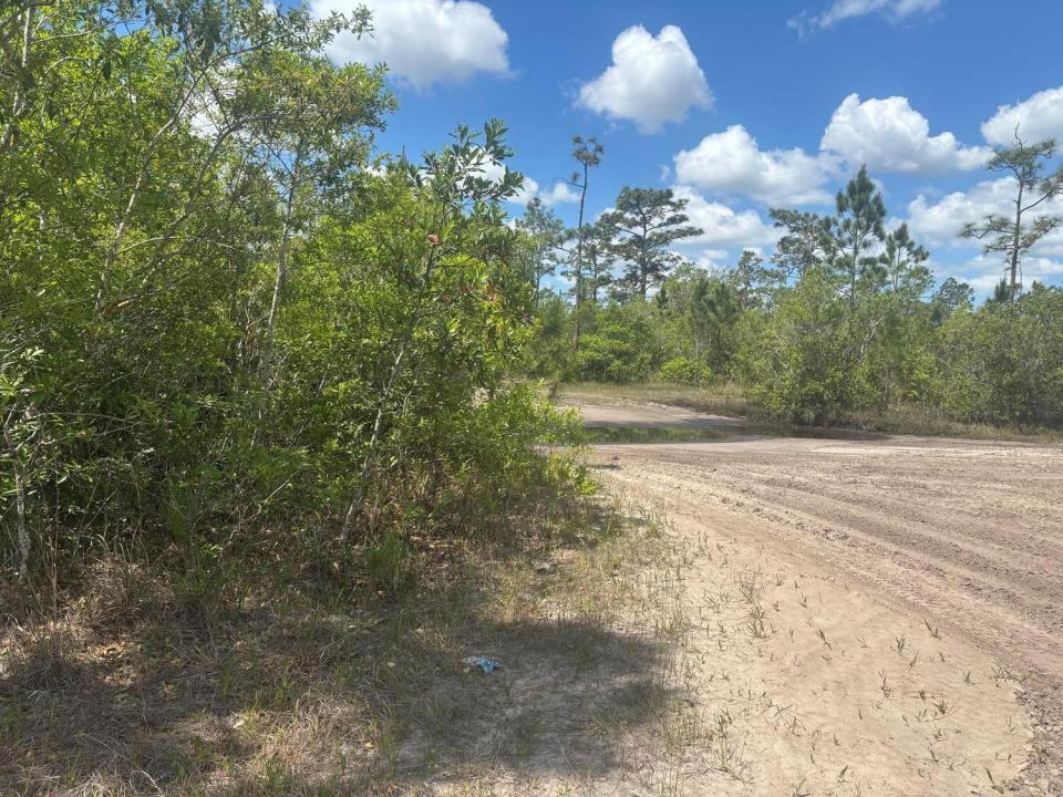 0 Holopaw Groves Road, Florida 34772, USA