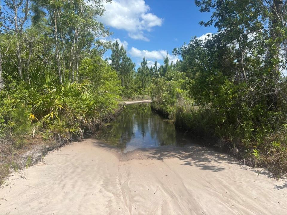 0 Holopaw Groves Road, Floride 34772, États-Unis