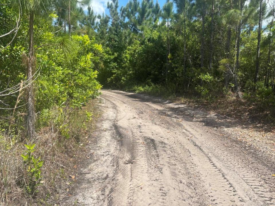 0 Holopaw Groves Road, Floride 34772, États-Unis