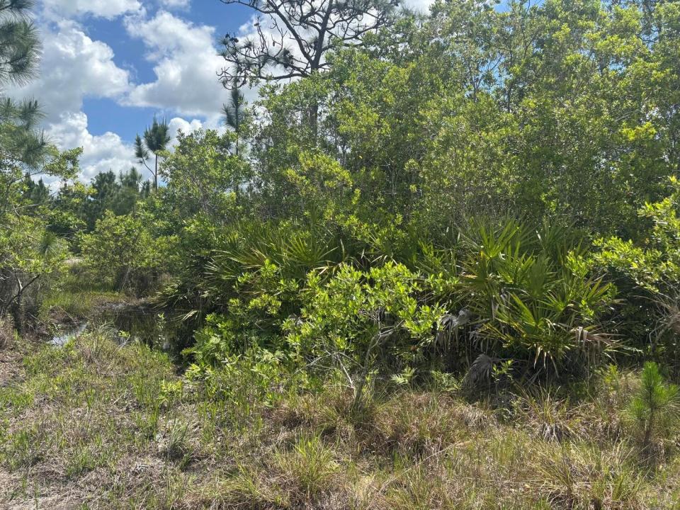 0 Holopaw Groves Road, Florida 34772, Stati Uniti