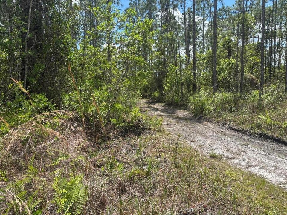 0 Holopaw Groves Road, Floride 34772, États-Unis