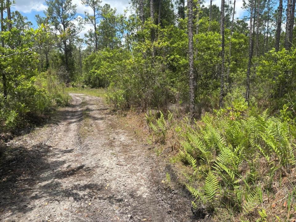 0 Holopaw Groves Road, Florida 34772, USA