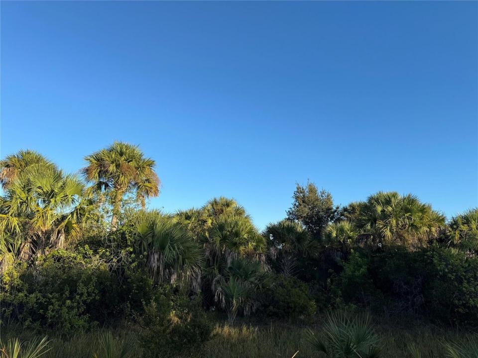 2025 Cabbage Lane, Okeechobee, Floryda 34974, USA