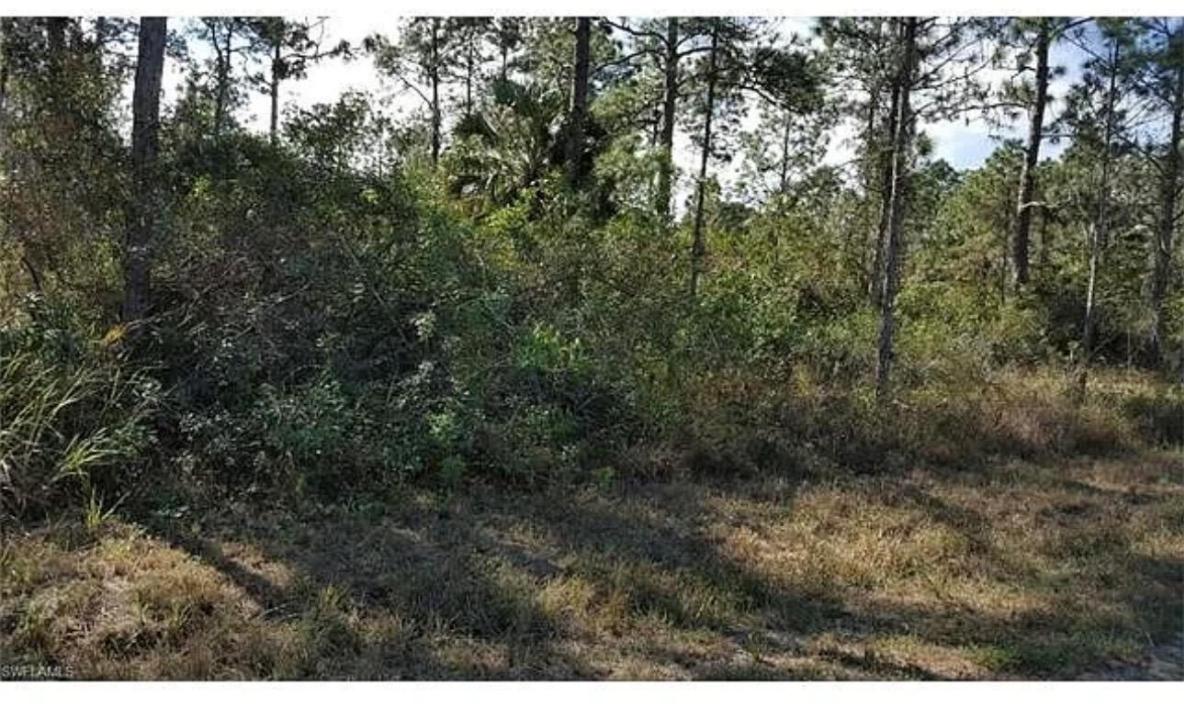 1042 Summa Boulevard, Lehigh Acres, Flórida 33974, Estados Unidos