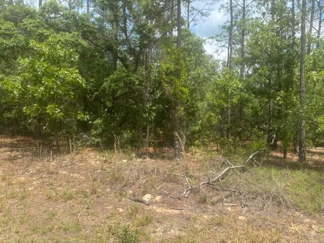 8593 N Bambury Terrace, Florida 34434, USA