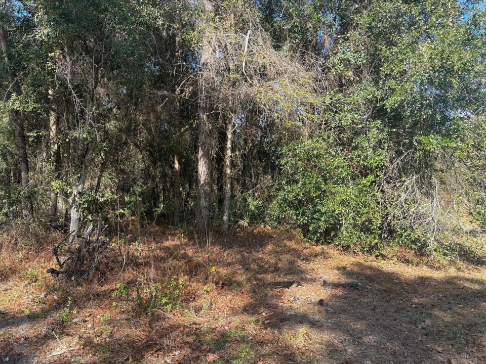 7178 W Wildfire Lane, Floride 34448, États-Unis