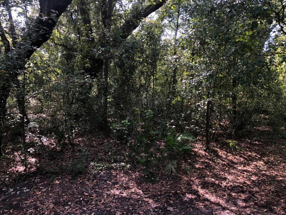 0 Co Rd 54, Florida 33849, Stati Uniti