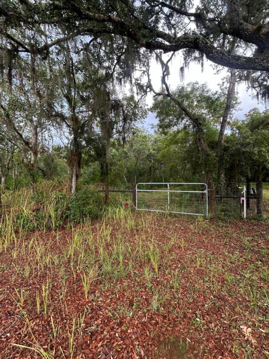0 Scrub Jay Trail, Frostproof, Florida, USA