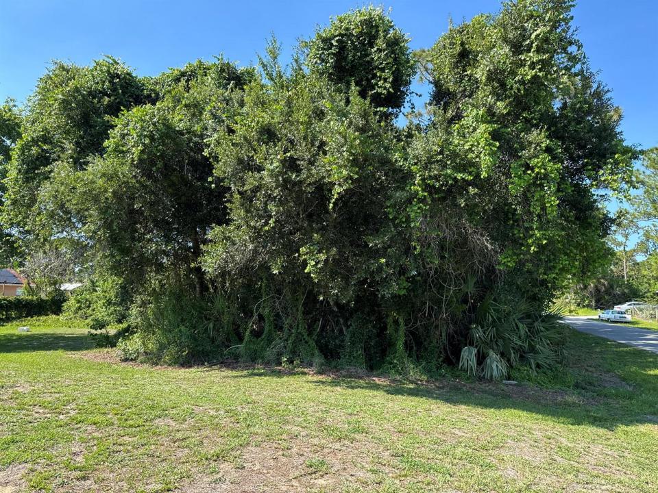 1970 SE Trapp Ave SE Avenue, Palm Bay, Florida 32909, USA