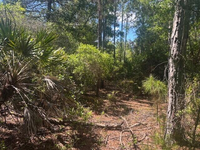0 Golden Shores Blvd, Mims, Floryda 32754, USA