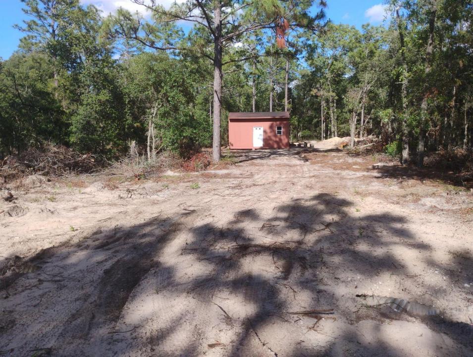 Tbd Sw Sands Point Ave, Floride 34431, États-Unis