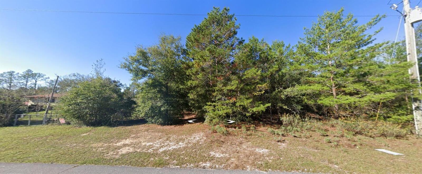 Tbd Oxford Avenue, Floride 32428, États-Unis