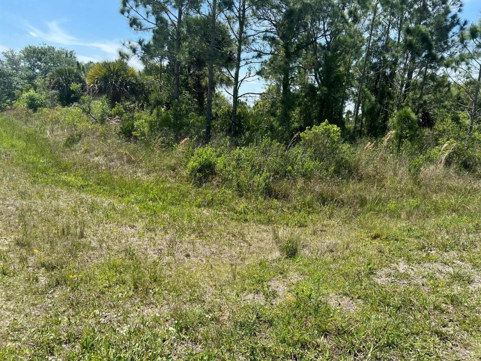 17616 NW 300th Street, Okeechobee, Флорида 34972, Соединенные Штаты