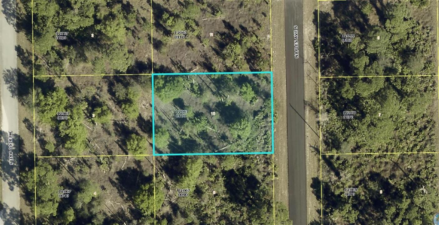 1012 Naples Avenue, Lehigh Acres, Florida 33974, Stati Uniti