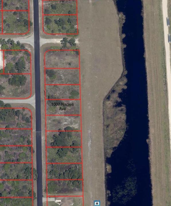 1007 Naples Avenue, Lehigh Acres, Florida 33974, Stati Uniti