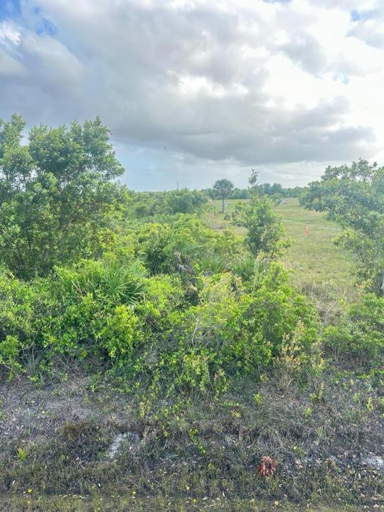 16220 NW 264th Street, Okeechobee, Floride 34972, États-Unis