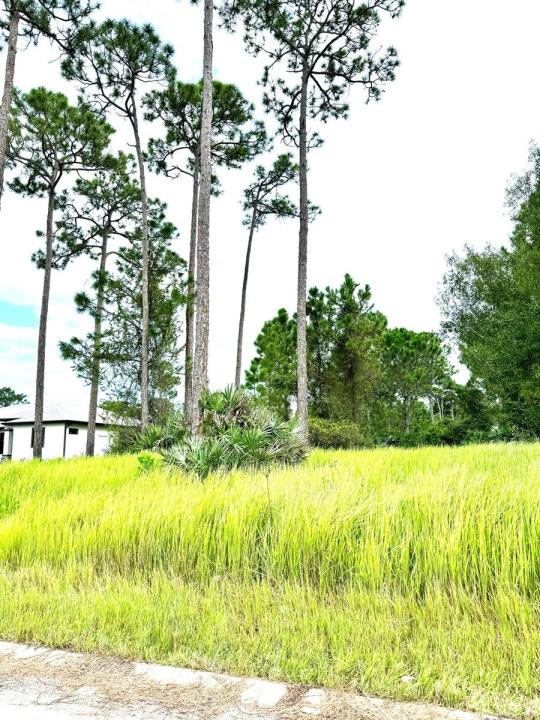 10615 Sugar Pine Drive, Fort Pierce, Florida 34945, USA