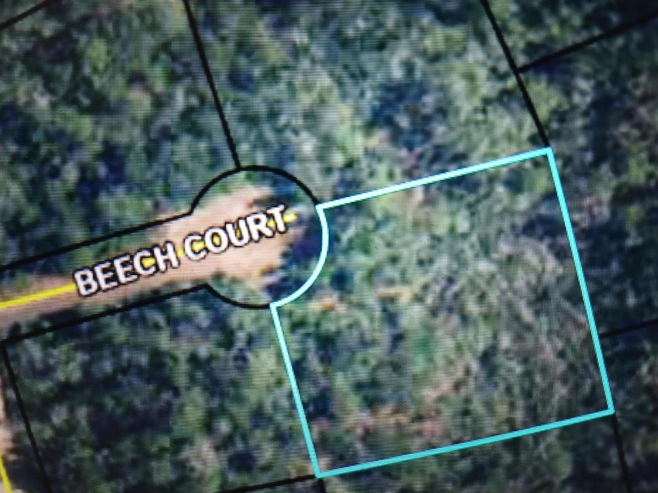 000 Beech Court, Floride 32420, États-Unis