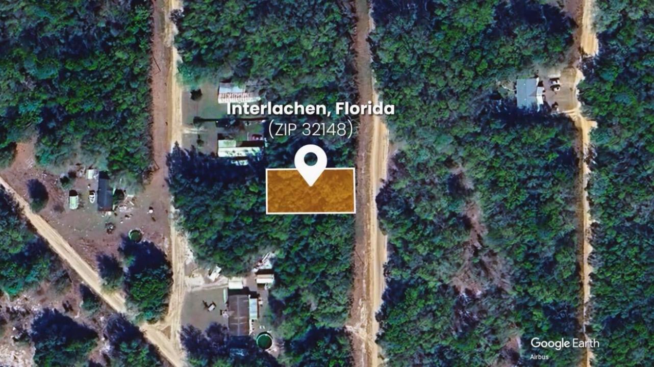 000 Wilson Dr Drive, Florida 32148, USA