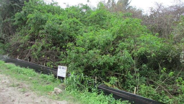 16750 SW Conners Highway, Okeechobee, Florida 34974, Stati Uniti
