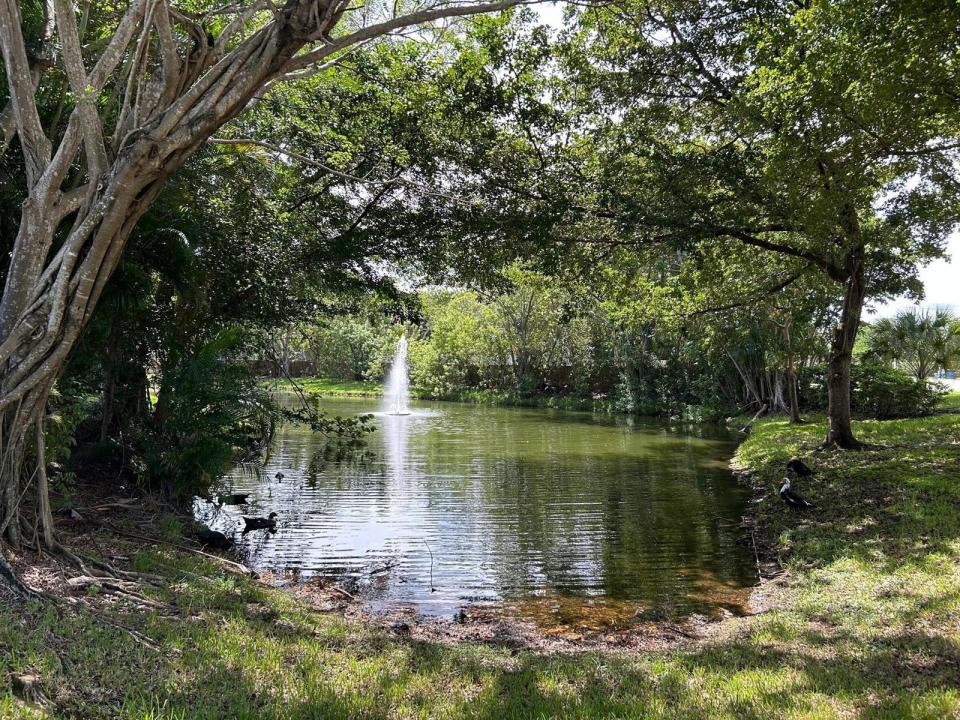 9999 Summerbreeze Drive 105, Sunrise, Florida 33322, Stati Uniti
