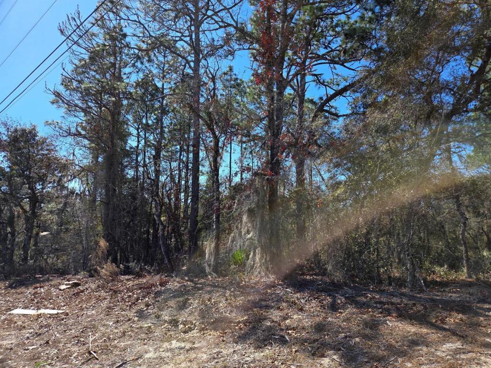 8 Marion Oaks Lane, Florida 34473, Stati Uniti