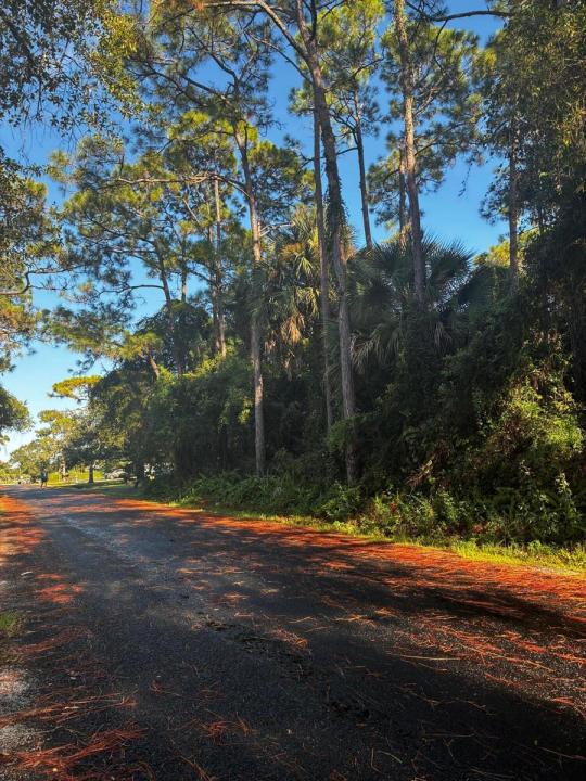 Tbd #2 Notlem Drive, Fort Pierce, Flórida 34982, Estados Unidos