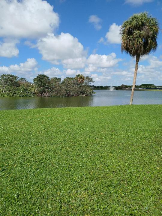 92 Seville Drive, Delray Beach, Floride 33446, États-Unis