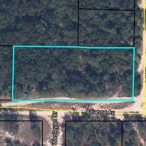 6286 Alliance Avenue, Florida 32656, USA