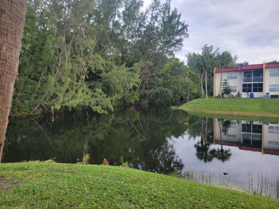 356 Lake Dora Drive, West Palm Beach, Florida 33411, USA