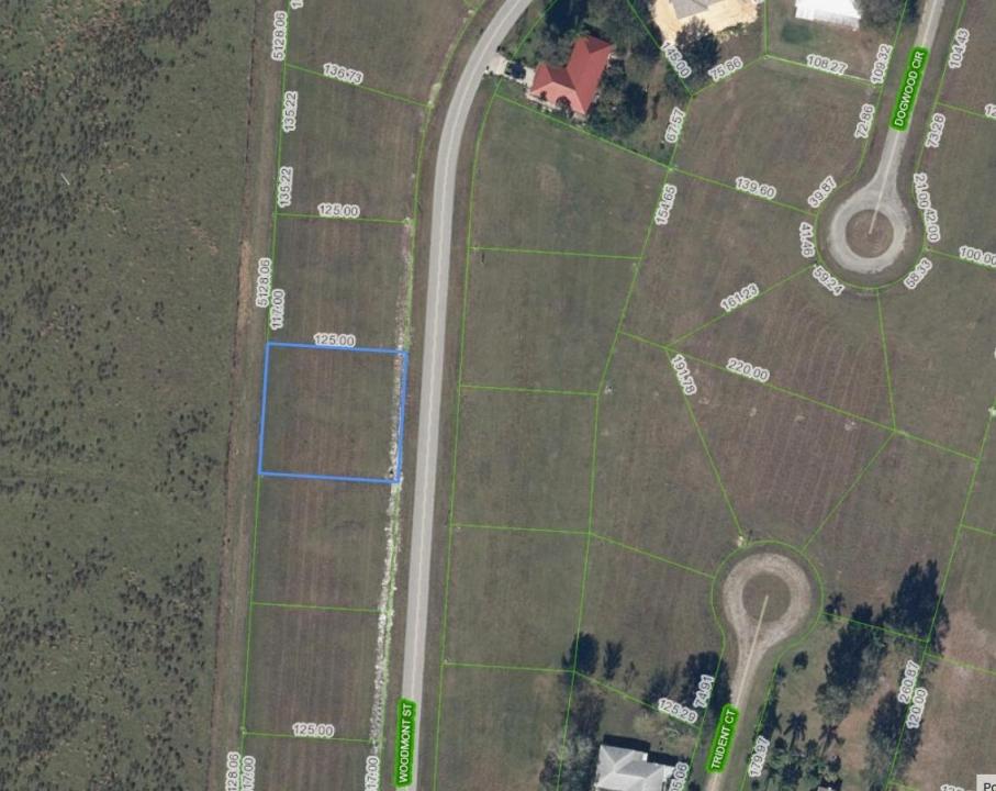816 Woodmont Street, Sebring, Floride 33876, États-Unis