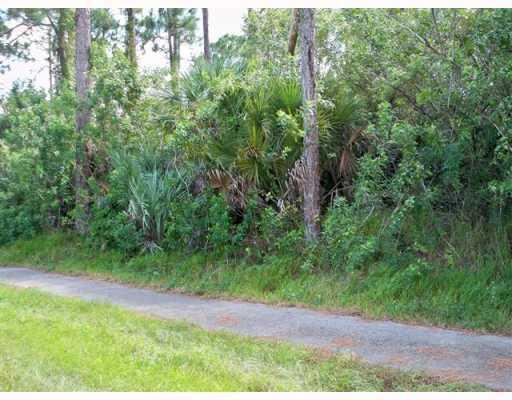 Xx Sycamore W Drive, Floride 33470, États-Unis