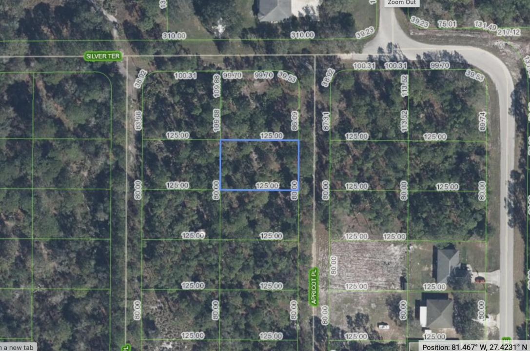 6503 E Apricot Place, Sebring, Florida 33875, Stati Uniti