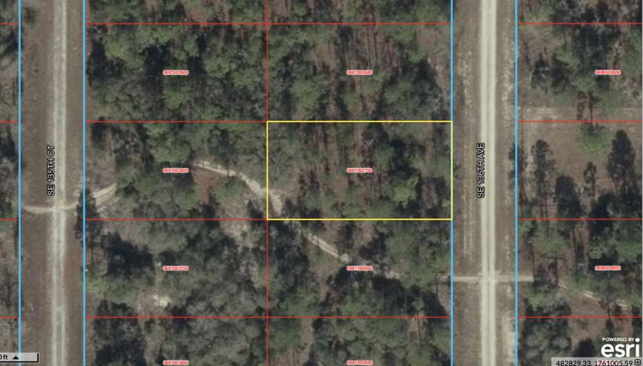 0 SE 136 Avenue, Floride 32668, États-Unis