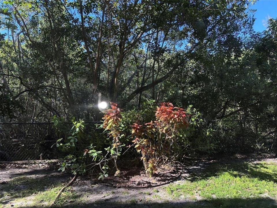 529 E Sheridan Street 1081, Dania Beach, Florida 33004, USA