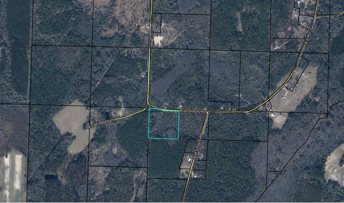 0 Bill Dixon Road, Florida 32440, Stati Uniti