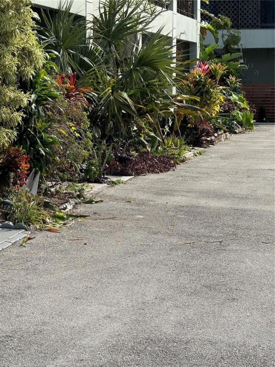 2452 Taylor Street 204, Hollywood, Floride 33020, États-Unis