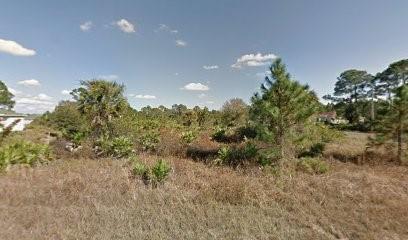 1127 Cove Street, Lehigh Acres, Floride 33974, États-Unis