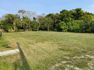 2630 NW 20th Avenue, Oakland Park, Florida 33311