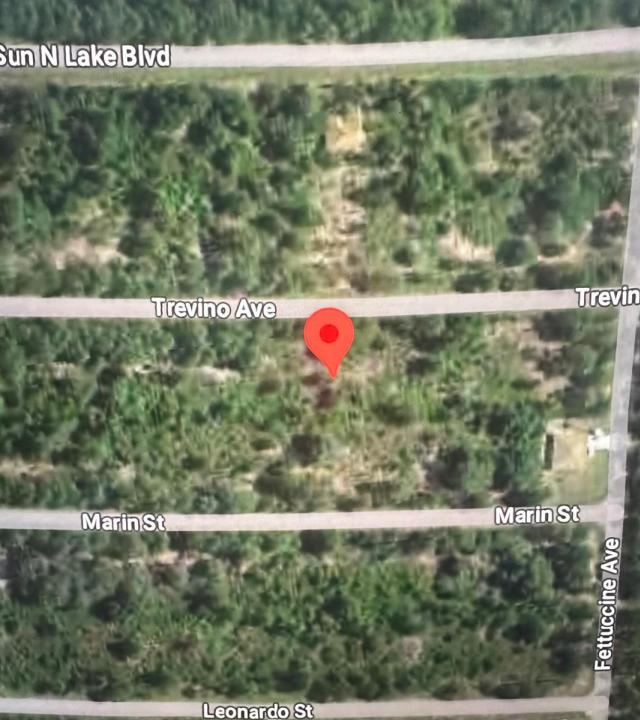 7919 Trevino Avenue, Sebring, Florida 33872, USA