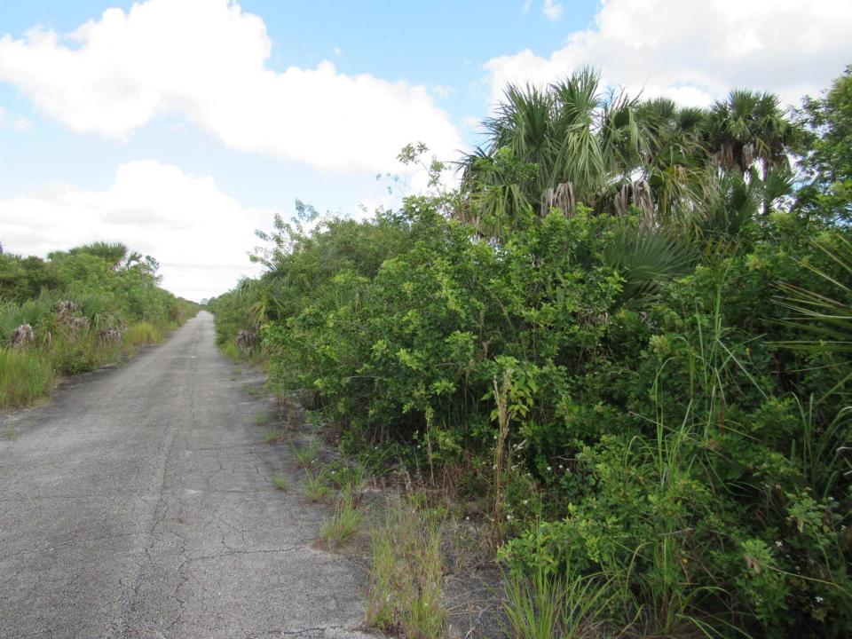 3362 Anhinga SW Avenue, Palm Bay, Florida 32908, Amerika Birleşik Devletleri