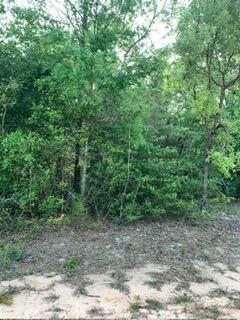 0 Gardenia Drive, Floride 32448, États-Unis