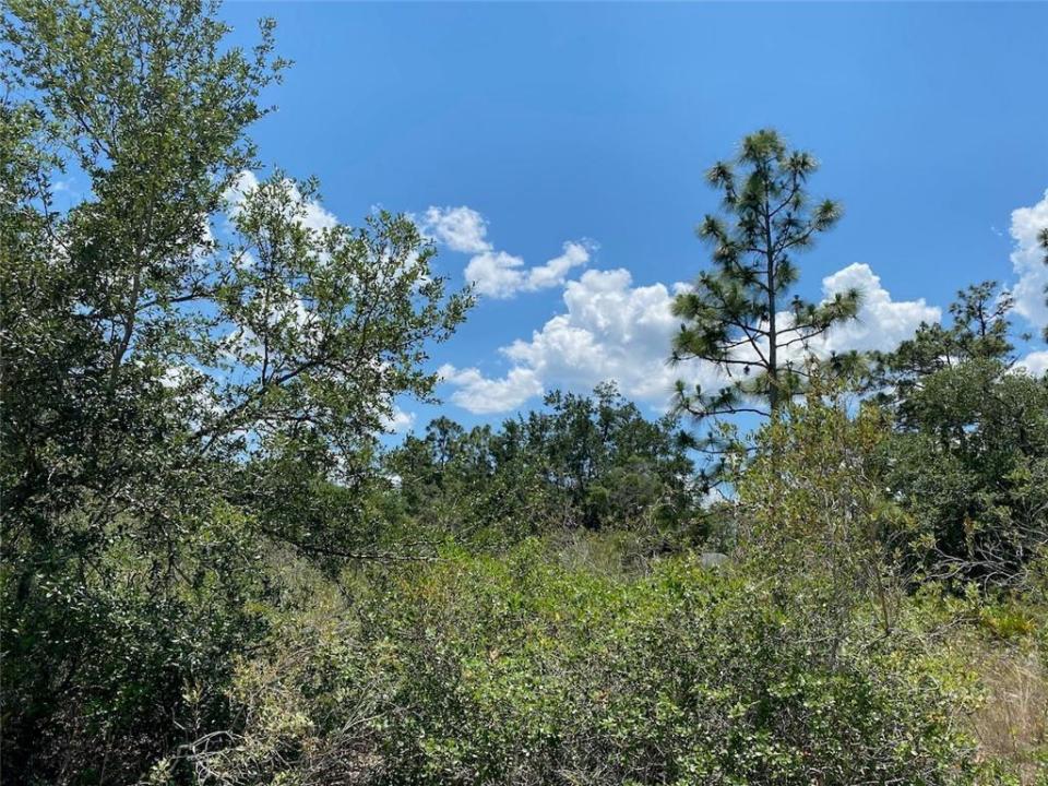 Lot 24 Indian Lake Drive, Floride 33855, États-Unis