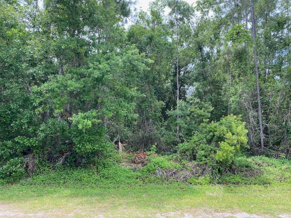 2351 Allamanda Drive, Floride 33855, États-Unis