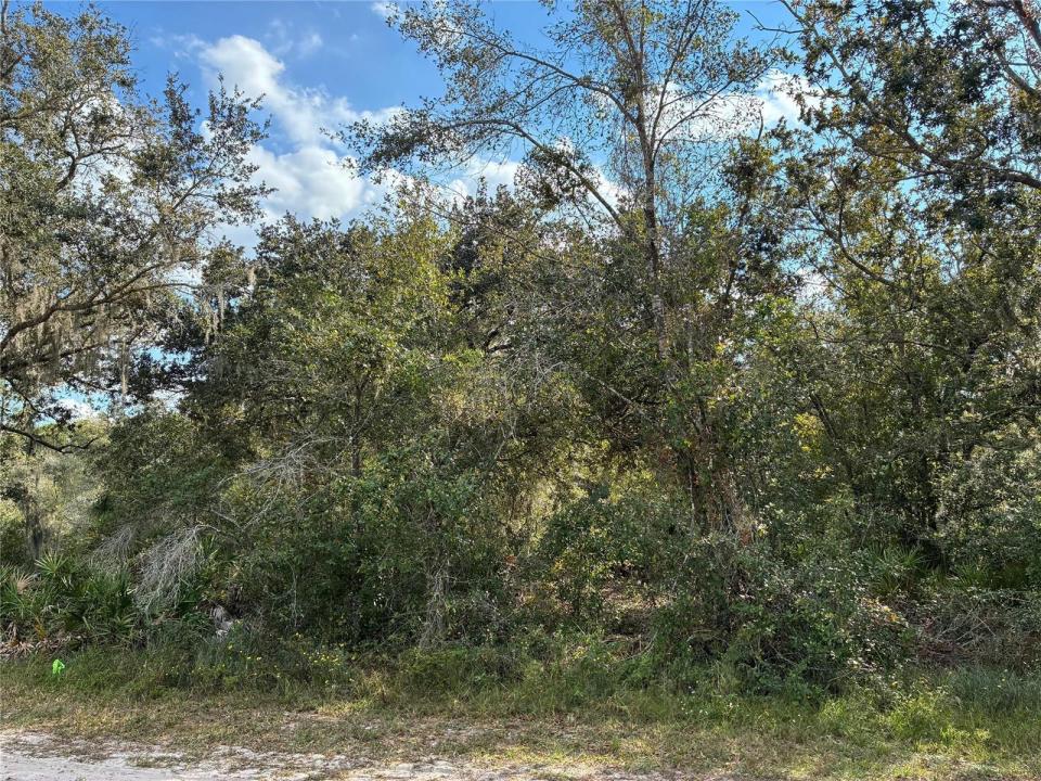 3791 Park Avenue, Floride 33855, États-Unis