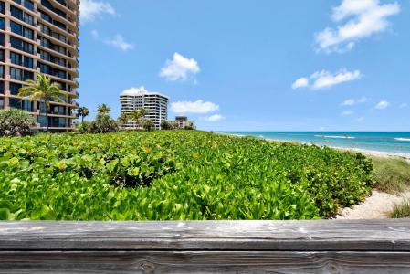 530 Ocean Drive 202, Juno Beach, Florida 33408, Stati Uniti
