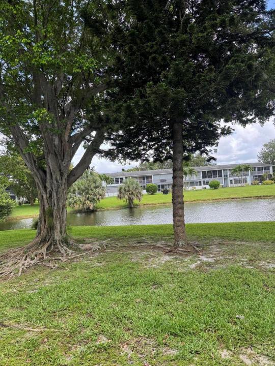 463 Tilford V 463, Deerfield Beach, Florida 33442, Stati Uniti