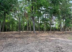4000 Ellen Trout Drive, Lufkin, Texas 75904, Stati Uniti